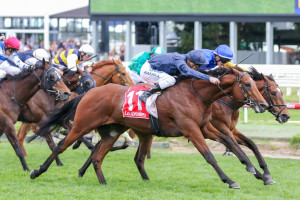 Cape Of Good Hope,Ladbrokes Stakes,Group 1_12-10-2019_WIN_Caulfield_7__1395